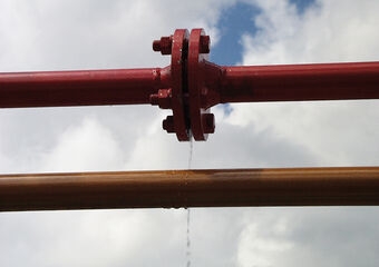 FLENSLEKDRAINAGEKUSSENSET VETTER DN50 1,5BAR