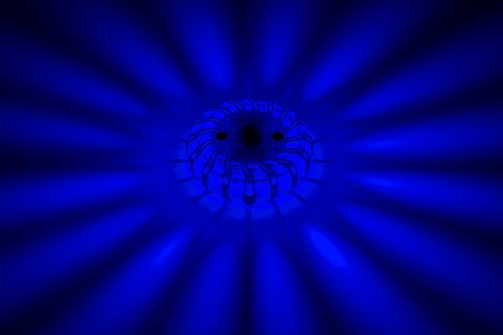 AFBAKENING SET IN KOFFER - KLEUR: BLAUW