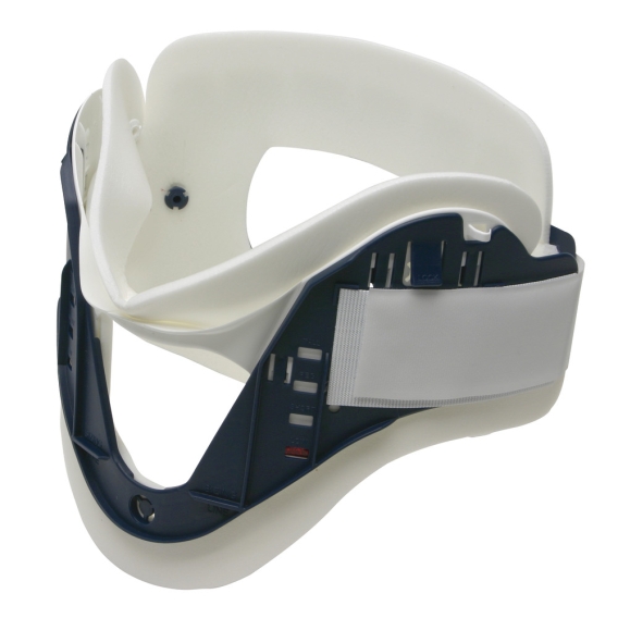 VOICE FEEDBACK INTERFACE