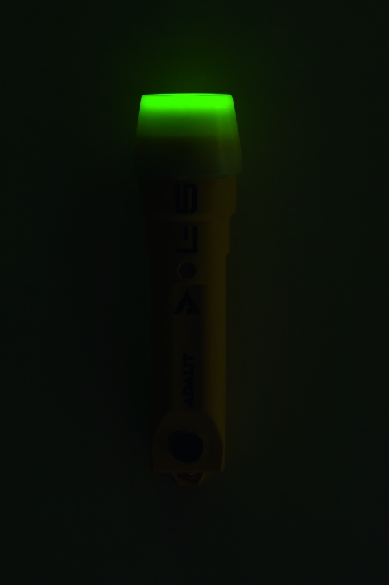 VOICE FEEDBACK INTERFACE